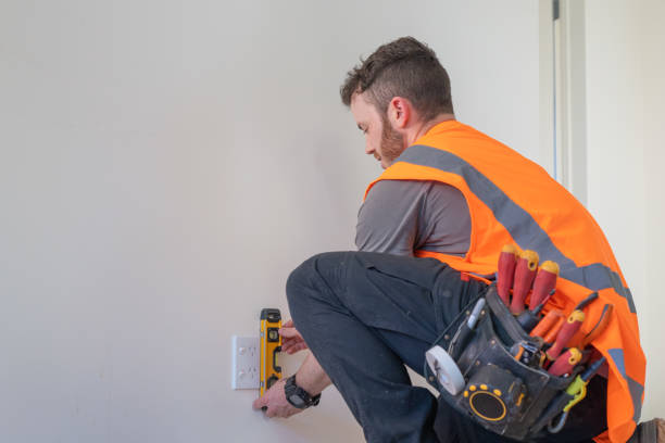 Best Electrician for Home Renovation  in Monee, IL